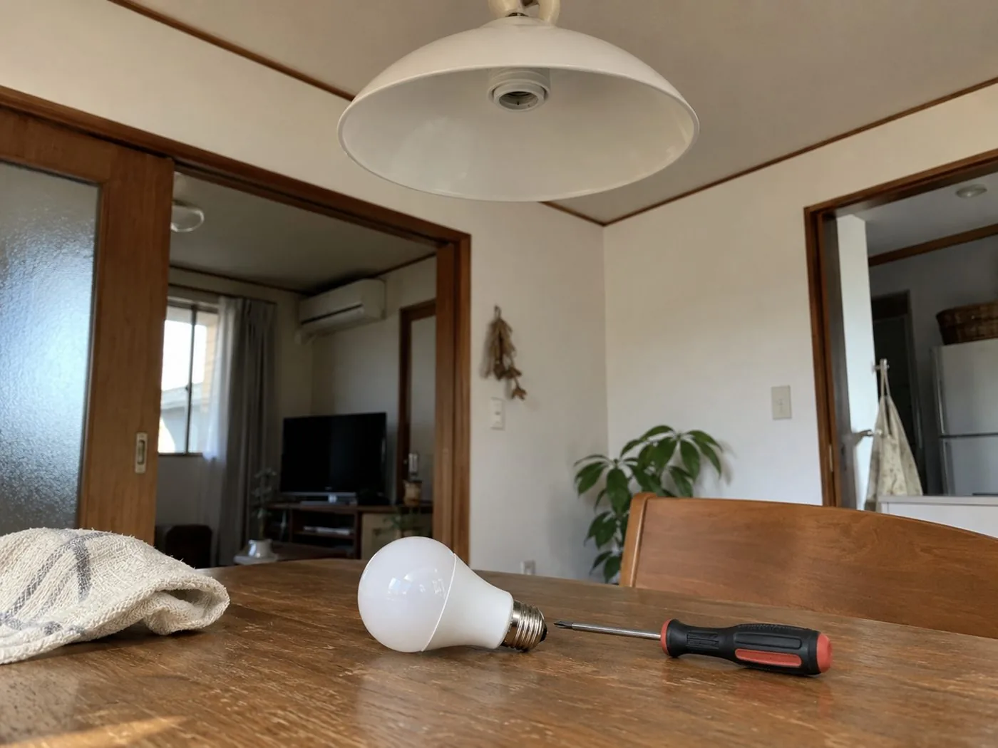 Replacement light bulb